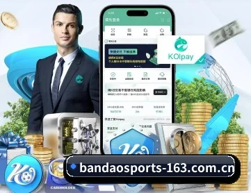 半岛体育 APP 深度功能